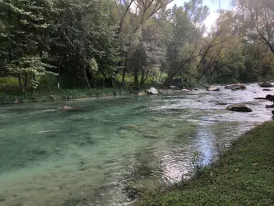 Arroyo seco
