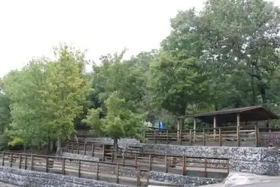 Fall Creek picnic area