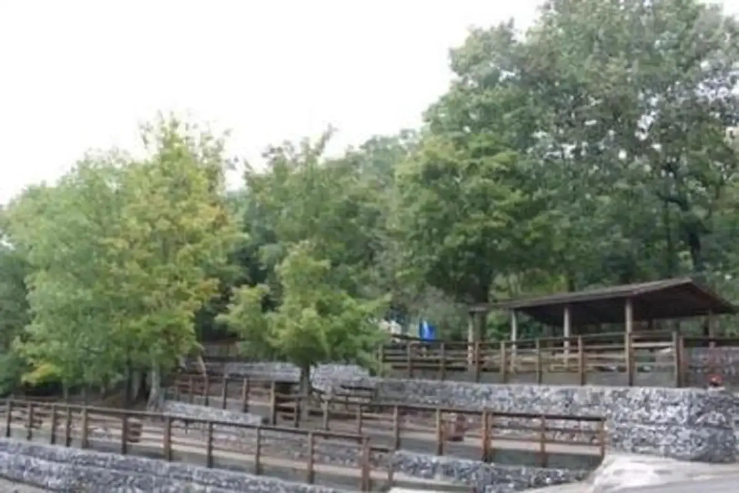 Fall Creek picnic area