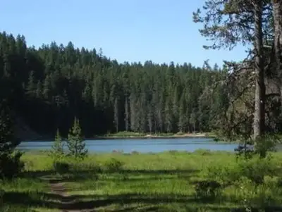 FROG LAKEq