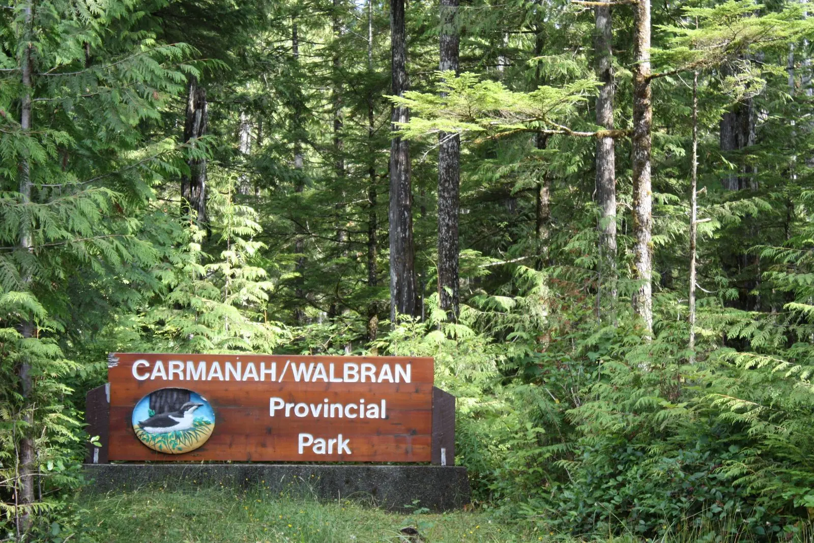 Photo of Carmanah Walbran Park