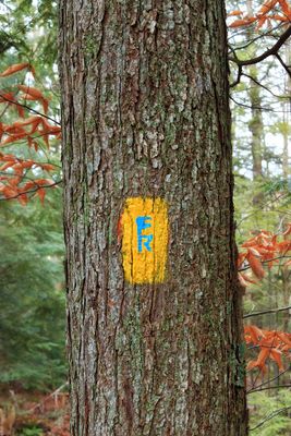 Fern Rock Nature Trail (2) (15510838264)