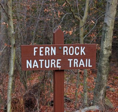 Fern Rock Nature Trail (1) (15513466023)