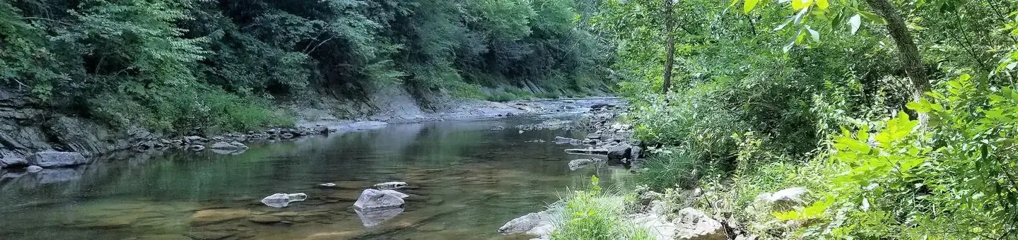 Potts Creek at Steel Bridge Campground