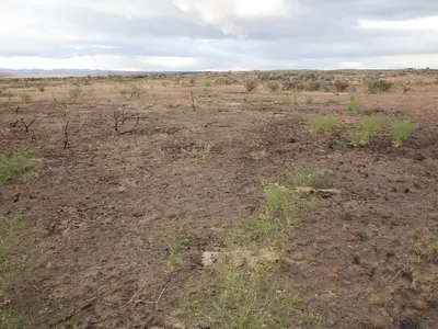 Bliss sagebrush steppe (9726291322)