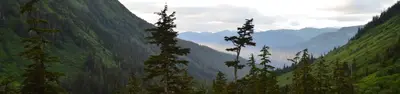 Dan Moller Cabin