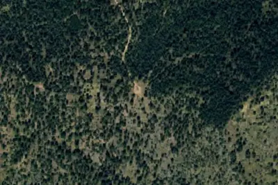 Camp site