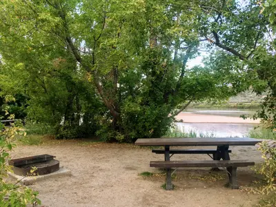 Rainbow Park Picnic Table and Fire Pit
