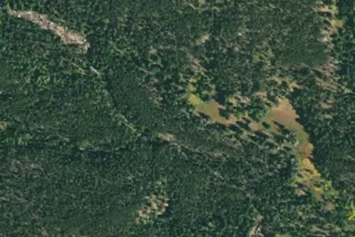 U.S. Forest Service Site 9