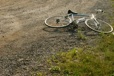 The Fast Bike (185672410)