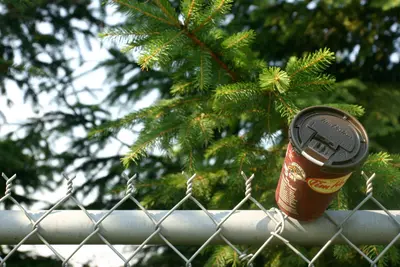 Cup on a Fence (185672408)