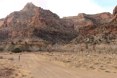 Tan sandstone cliffs rise up behind a gravel road with a campsite on one side and bare cottonwood trees on the other.