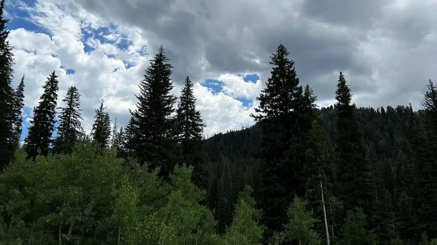 Redman Campground