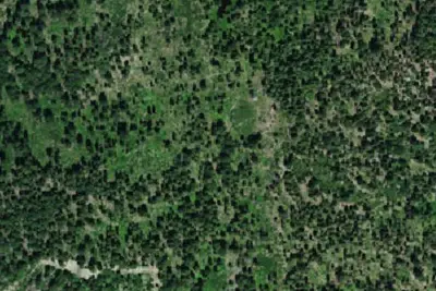 Rattlesnake Camp