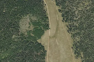 Camp site