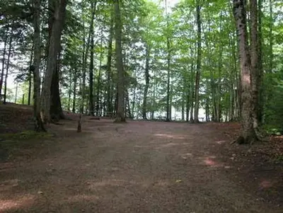Pete's Lake Campground Site