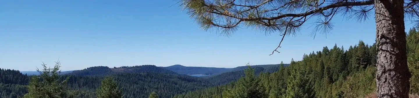 Pioneer Trail