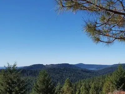 Pioneer Trail