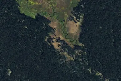 Camp site
