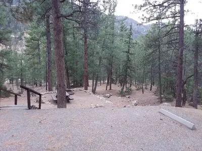 Site 5