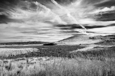 Coyote Hills Regional Park, Fremont, California (55806186)