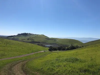 Coyote hills park 2