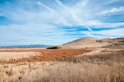 Coyote Hills Regional Park, Fremont, California (55806208)