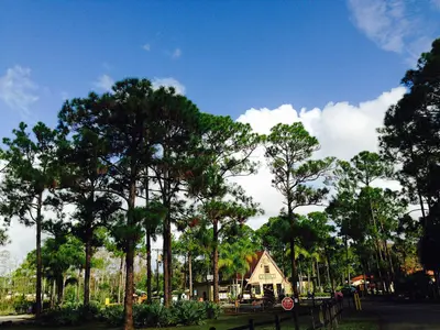Palm Beach County, FL, USA - panoramio (31)
