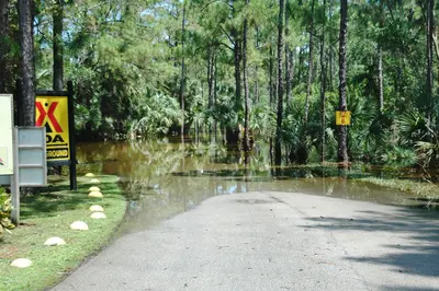 Lion Country Safari after Tropical Storm Isaac - panoramio