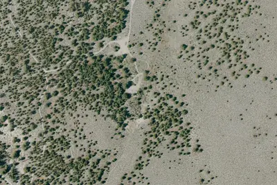 Sagehen Meadows Campground