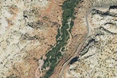 Site 5