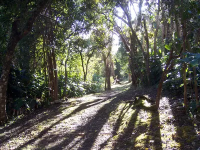 Koke'e State Park (351500873)