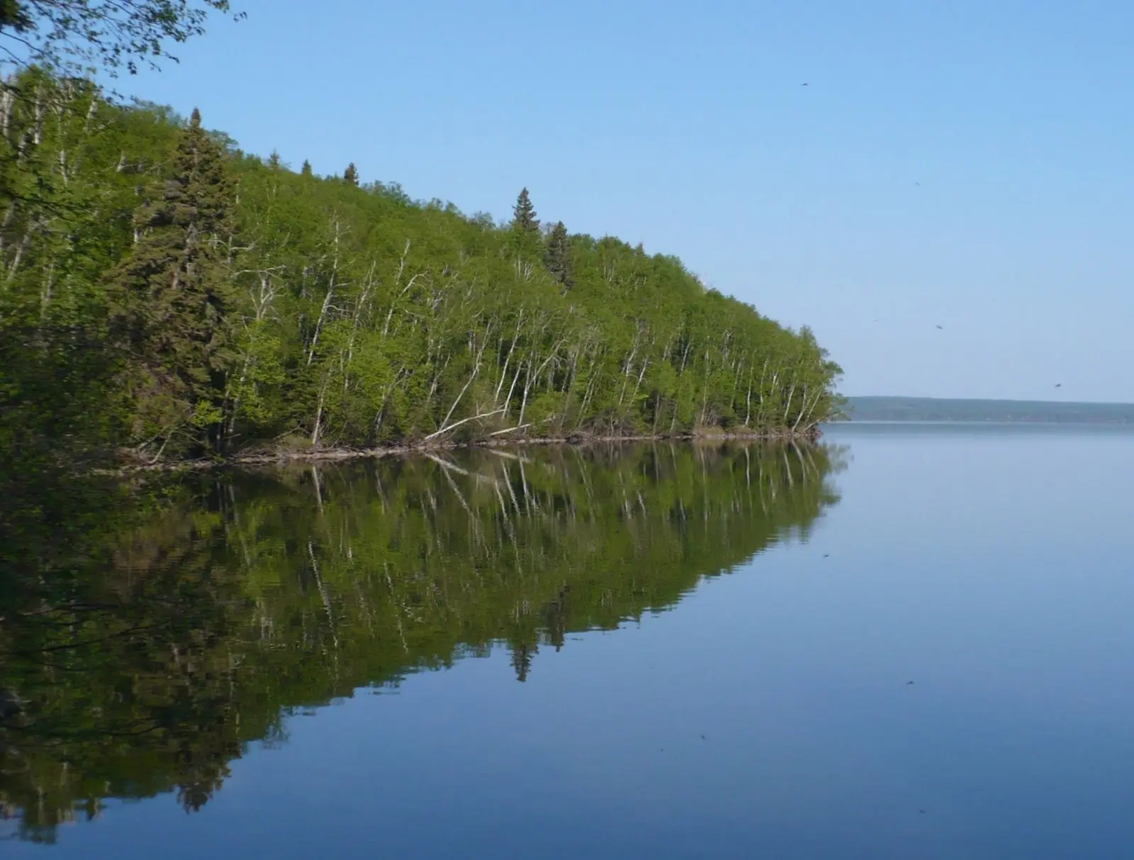 Photo of Prince Albert National Park
