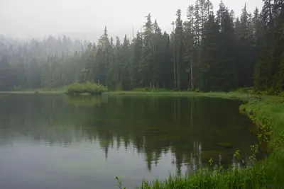 Mink Lake
