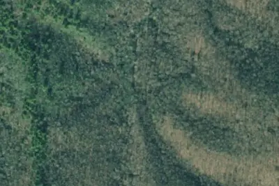 Camp site