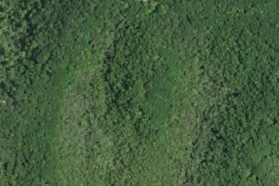 S-Tree Campground