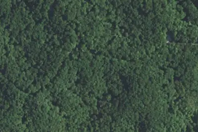 Camp site