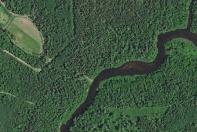 Camp site