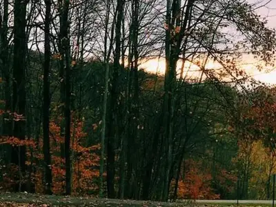 private, small, forested campground