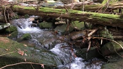 Minister Creek Campground & Trailhead