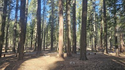 Gurnsey Creek Campground