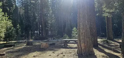Campsites at Gurnsey Creek are well spaced and unique.