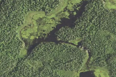 Camp site