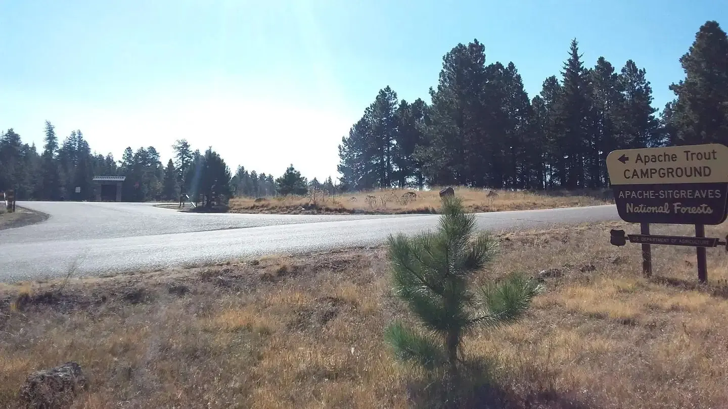 Apache Trout Campground entrance from road