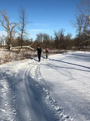 Cross country skiing (49526151902)