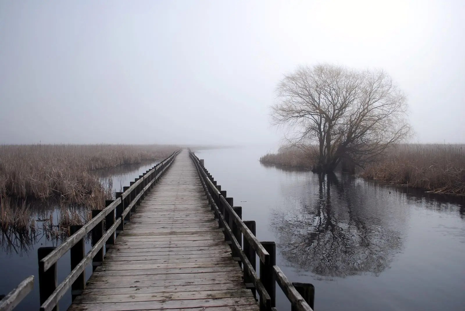 Photo of Point Pelee National Park