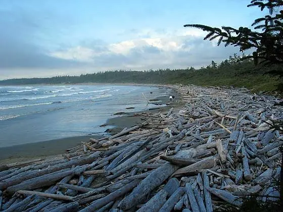 Photo of Pacific Rim National Park Reserve
