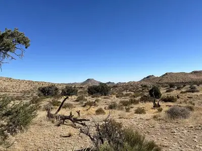 Overview of Mid Hills Campground