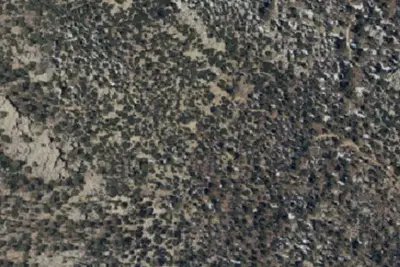 Camp site