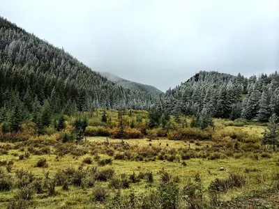 Autumn Collage near Augusta, MT (15063962200)